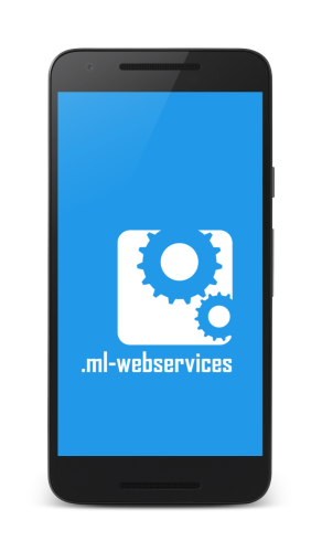 .ml-webservices App-Entwicklung, Webdesign & Hosting